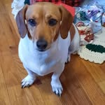 Peggy Sue Brinkerhoff - @peggysuebrinkerhoff - Instagram