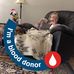 Peggy Broderick - Facebook