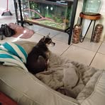 Peggy Sue Bronson - Facebook