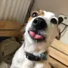 Peggybros(I follow back) - @peggybros - TikTok