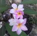 Peggy Bryson - Facebook