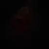 Peggy Bumgarner - @peggybumgarner - TikTok