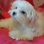 Peggy Brock Burden - @peggybrockburden - Instagram