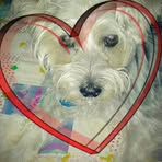 Peggy Burgin - Facebook