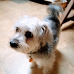 Peggy Burgin - Facebook