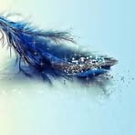 Peggy Burgin - Facebook