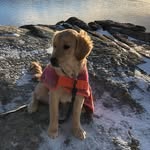 Peggy Burnham - @beemmagg - Instagram