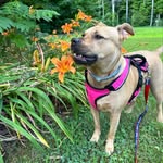 Peggy Burnham - @peg171 - Instagram