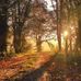 Peggy Busche - Facebook