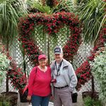 Peggy Allison Bush - @peggybush385 - Instagram