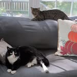 Peggy Adams Byrum - @peggybyrum - Instagram