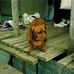 Peggy Calhoun - Facebook