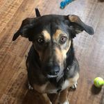 Peggy Calvert Marion - @therealpegster - Instagram