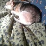 Peggy Casto - @peggycasto - Instagram
