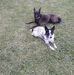 Peggy Casto - Facebook
