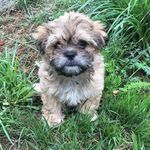 Peggy Casto - @peggy.casto.7 - Instagram
