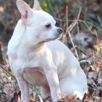 Peggy Casto - Facebook