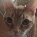 Peggy Catron - @peggy_catron - Instagram