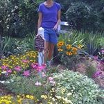 Peggy Chapman - @peggy_chapman - Instagram