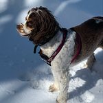 Peggy Chapman - @peggychapman411 - Instagram