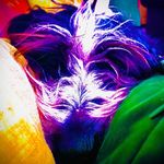 Peggy Chase - @peggyandmeg - Instagram