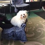 Peggy Chase - @peggychase46 - Instagram