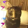 Peggy Cheadle - @peggy.cheadle - TikTok