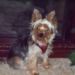 Peggy Cheney - @peggycheney - Instagram