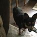 Peggy Chesnut - Facebook
