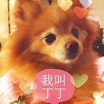 Peggy Ching - @peggyching0213 - Instagram