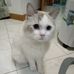 Peggy Ching - Facebook