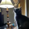 Peggy Conger - @pegster5103 - TikTok