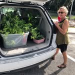 Peggy cloud - @peggycloud48 - Instagram