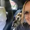 Peggy cloud - @peggy.cloud1 - TikTok