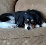 Peggy Cloud - Facebook