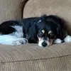 Peggy Cloud - @peggy.cloud - TikTok