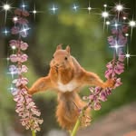 Peggy Cloud - @peggy.cloud.12327 - Instagram