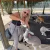 peggycoates3 - @peggy.coates2 - TikTok