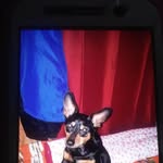 Peggy Coker - @peggy.coker.735 - Instagram