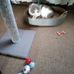 Peggy Copley - Facebook