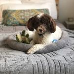 Peggy Maynard Corbett - @theeducationofmr.bean - Instagram