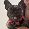 Peggy crack - @peggycrak - TikTok