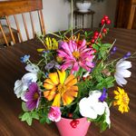 Peggy Crowder - @peggycrowd - Instagram