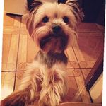 Peggy Crowder - @peggy.crowder1510 - Instagram