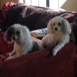 Peggy Cuevas Mitchell - @peggycuevasmitchell - Instagram