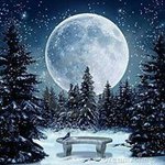 Peggy Dahler - @peggydahler - Instagram