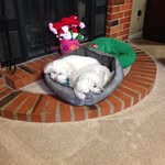 Peggy Cason Dailey - @casondailey - Instagram