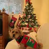 Peggy Dailey - @2159576886 - TikTok