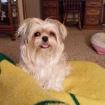Peggy Daniels - @2254pjd - Instagram