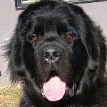 Darrel and Peggy Friesen - @darrel.peggy.friesen - Instagram